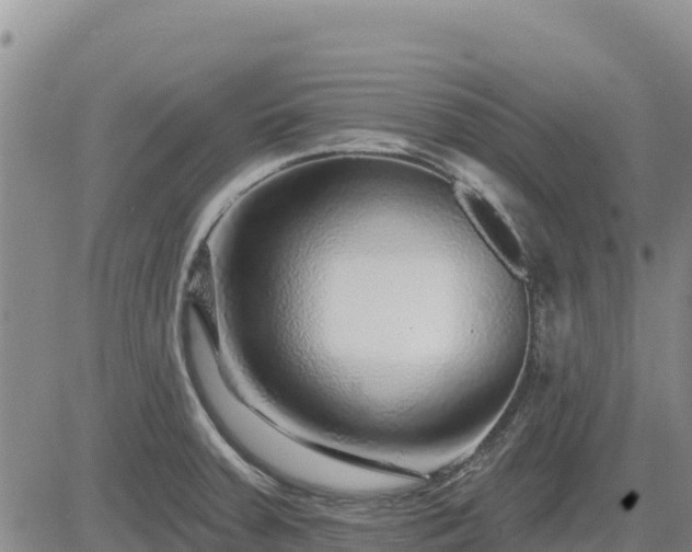 X0000084601379200703021614