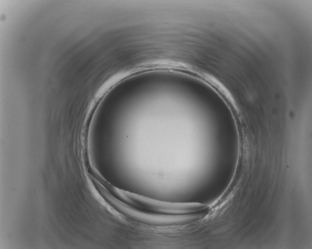 X0000084601381200703021614