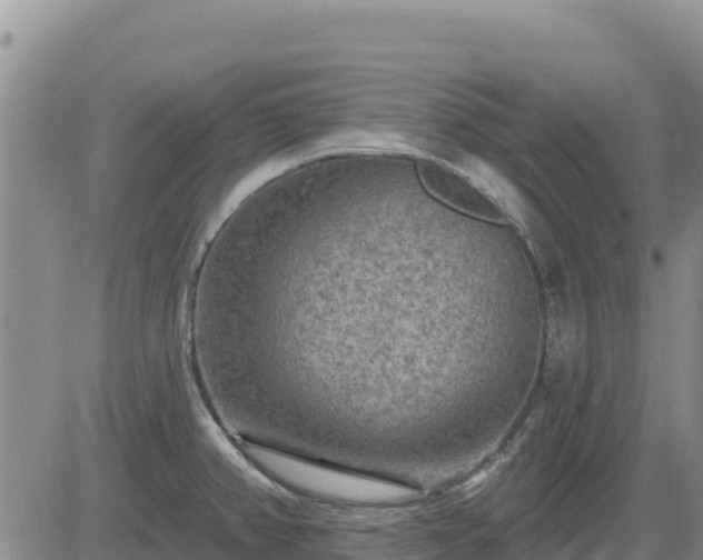 X0000084601382200703021614