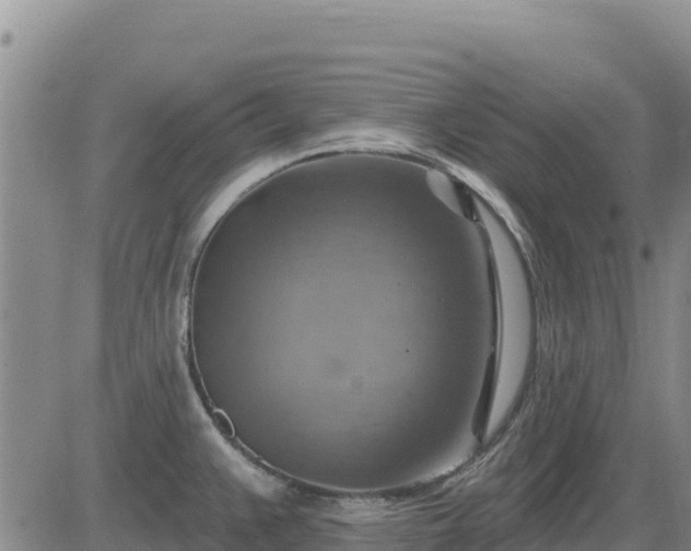 X0000084601383200703021614