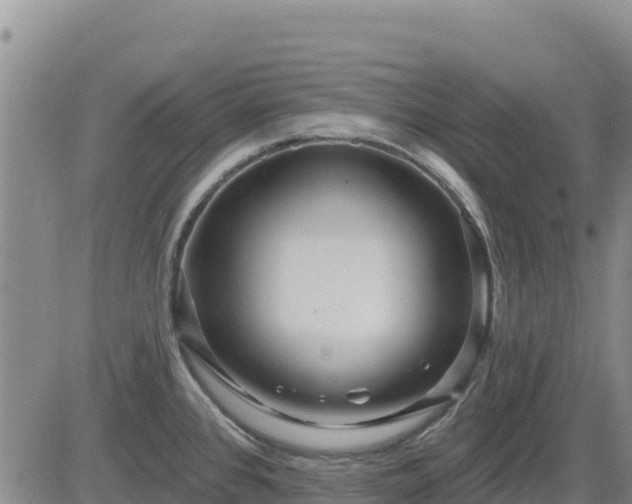 X0000084601384200703021614