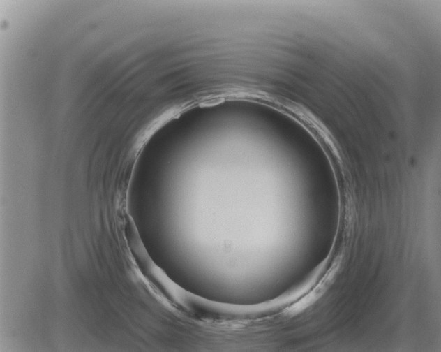 X0000084601385200703021613