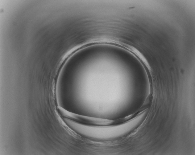 X0000084601388200703021613