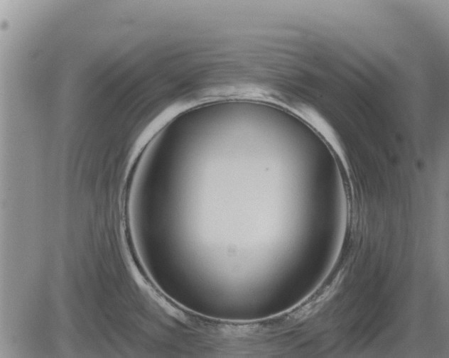 X0000084601389200703021613