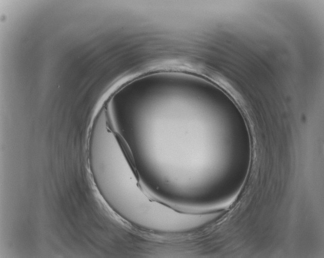 X0000084601392200703021613