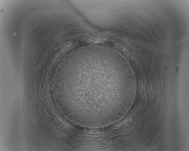 X0000084601393200703021613