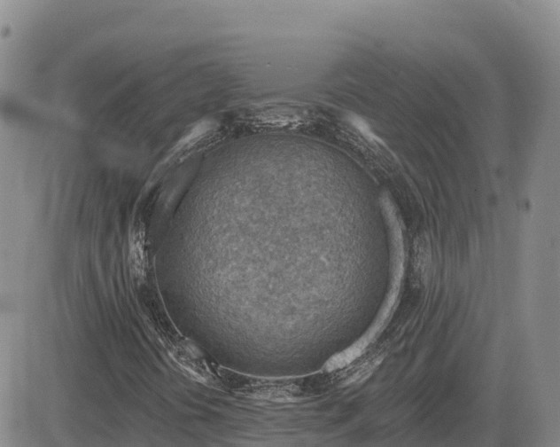 X0000084601394200703021613