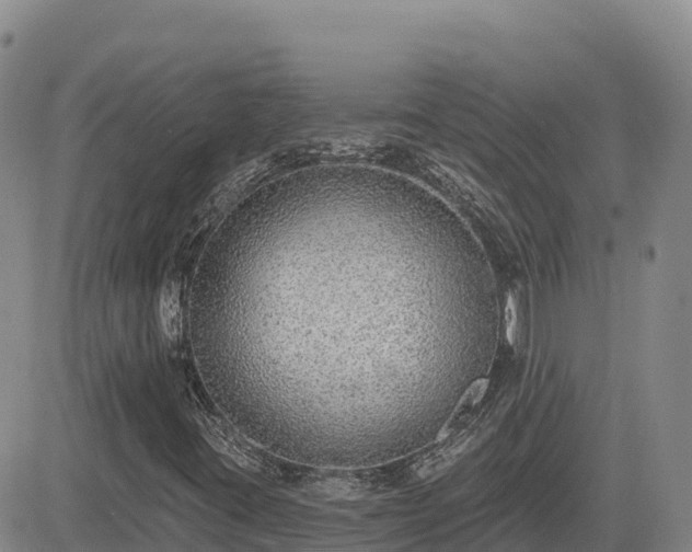 X0000084601395200703021613