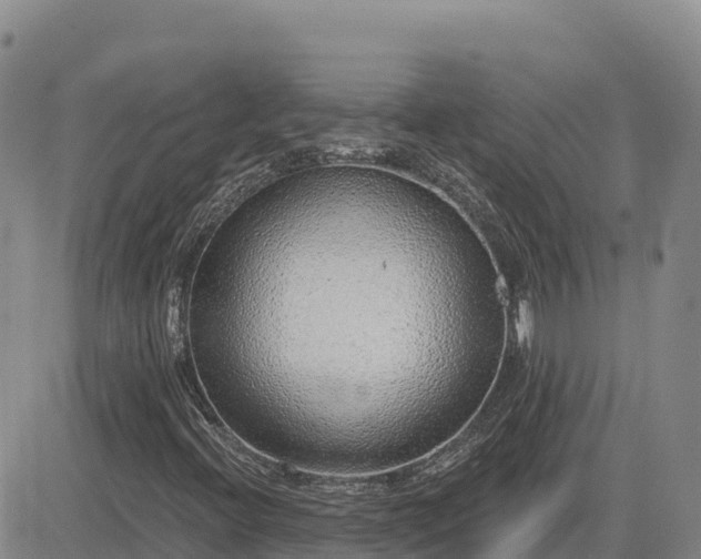 X0000084601396200703021613