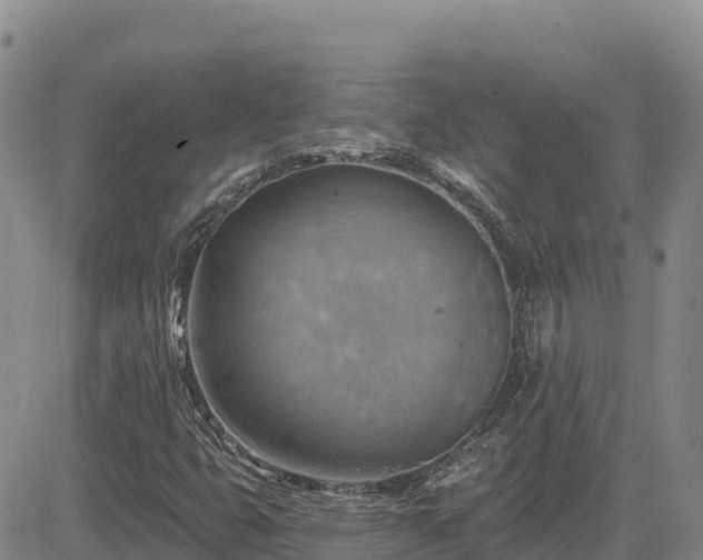 X0000084601399200703021613