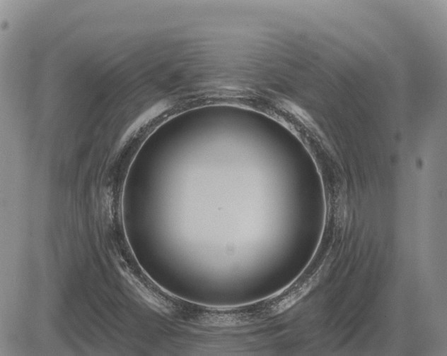 X0000084601402200703021613