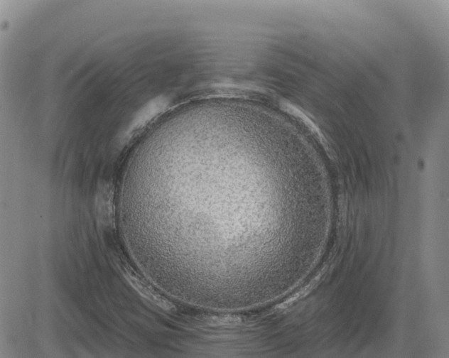 X0000084601403200703021613