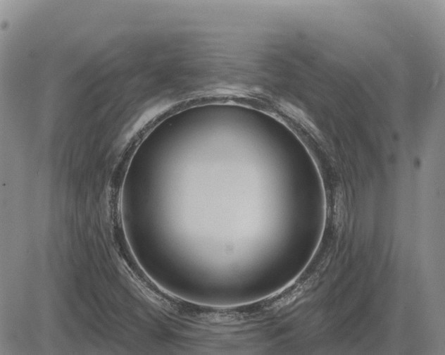 X0000084601404200703021613