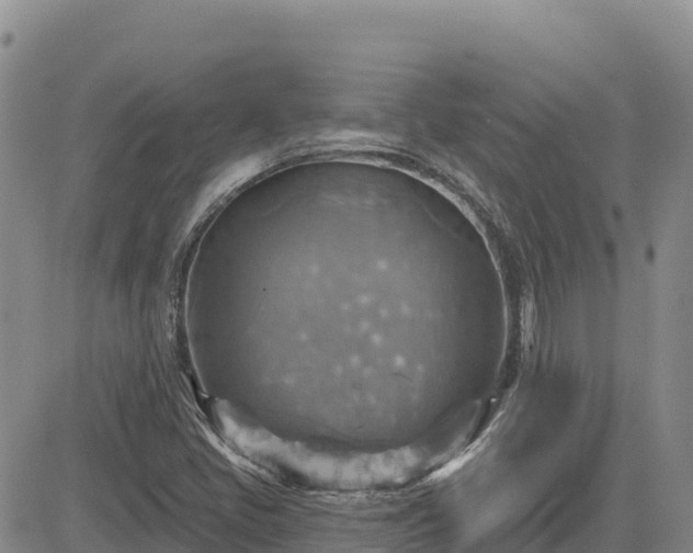 X0000084601405200703021613