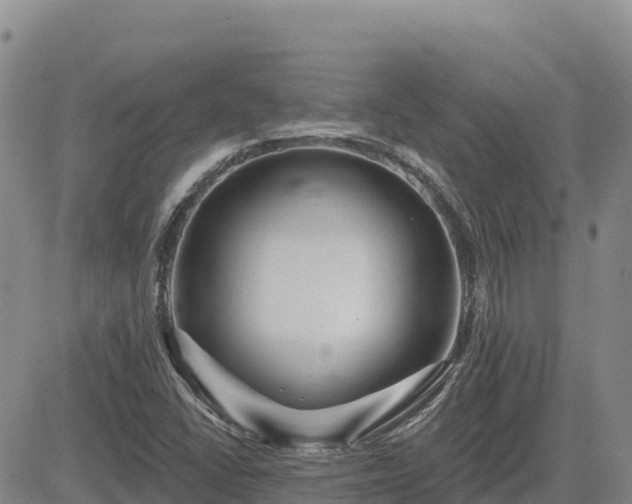 X0000084601406200703021613