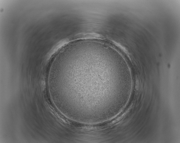 X0000084601407200703021613