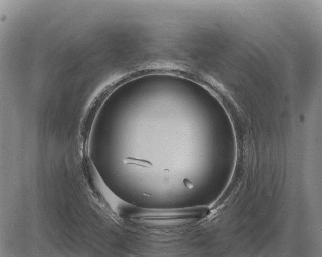 X0000084601408200703021613