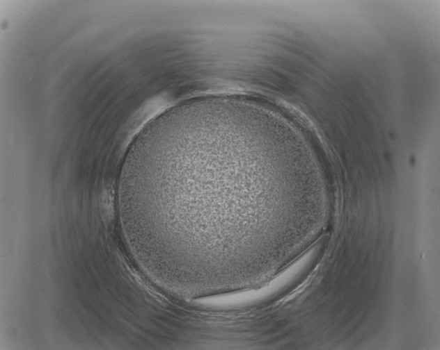 X0000084601409200703021613