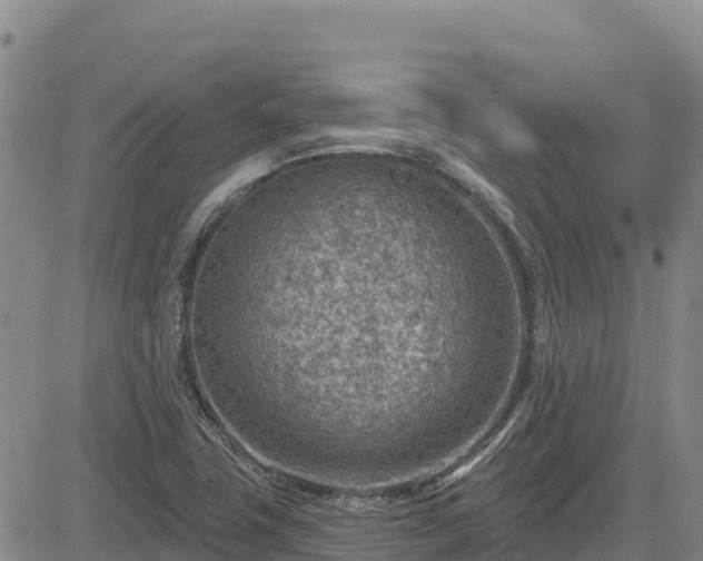 X0000084601411200703021613