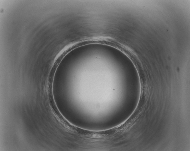 X0000084601412200703021613