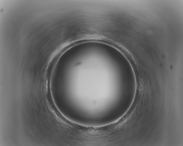 X0000084601414200703021613