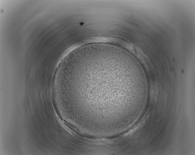 X0000084601417200703021613