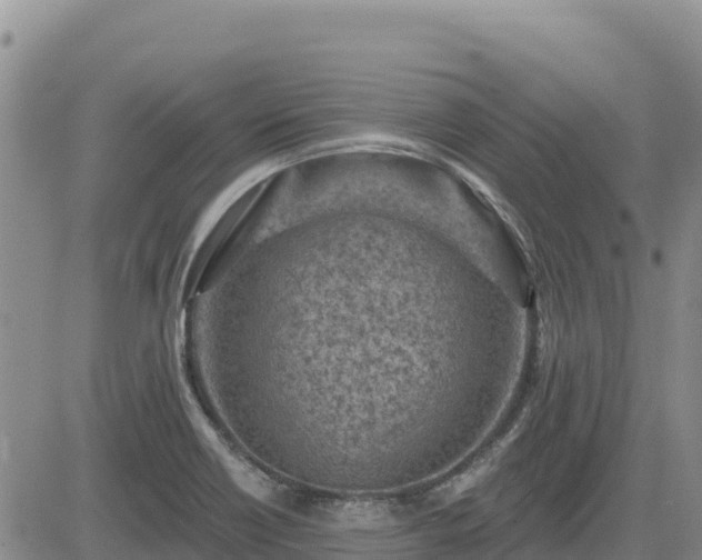 X0000084601418200703021613