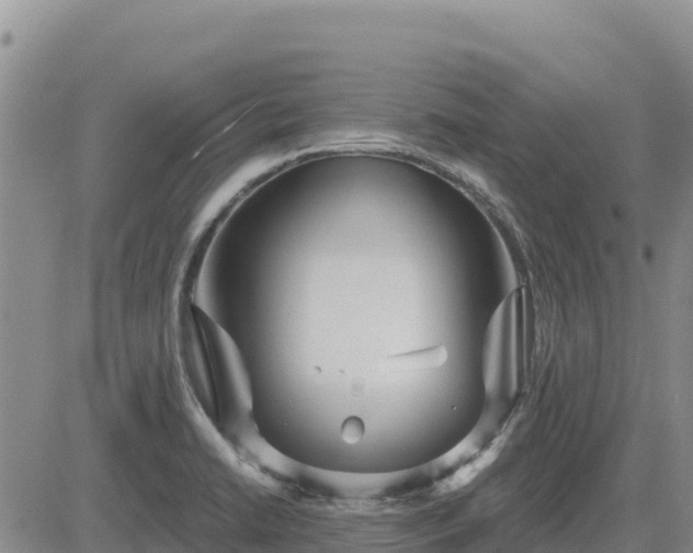 X0000084601422200703021613