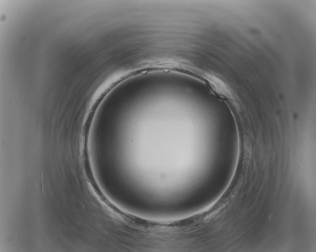 X0000084601424200703021613