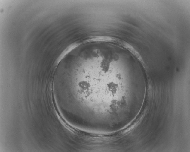 X0000084601425200703021613