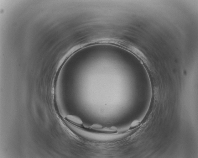 X0000084601428200703021613