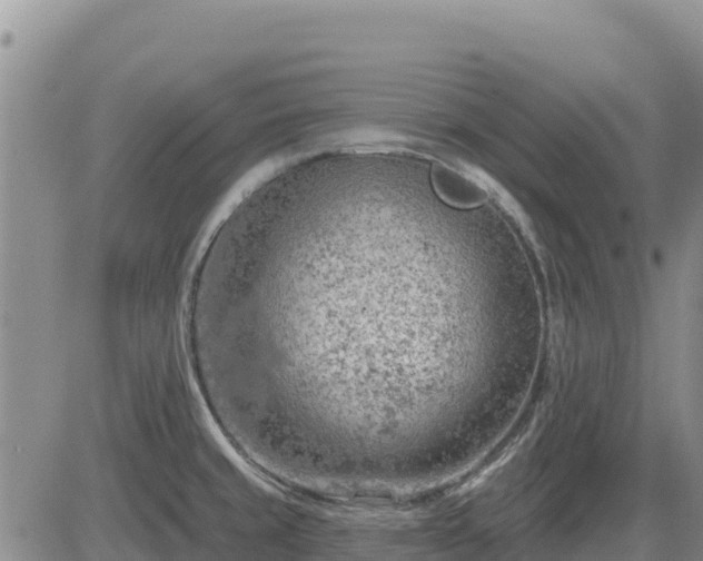 X0000084601429200703021613