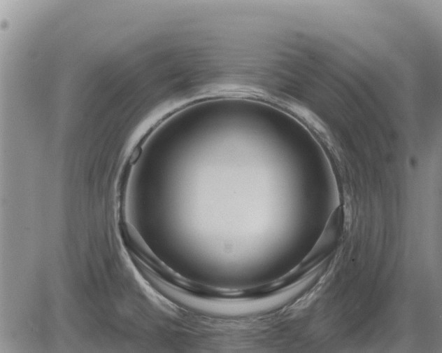 X0000084601430200703021613