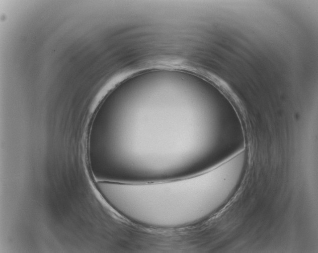 X0000084601432200703021613