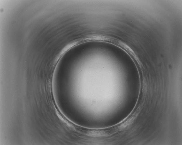 X0000084601433200703021613