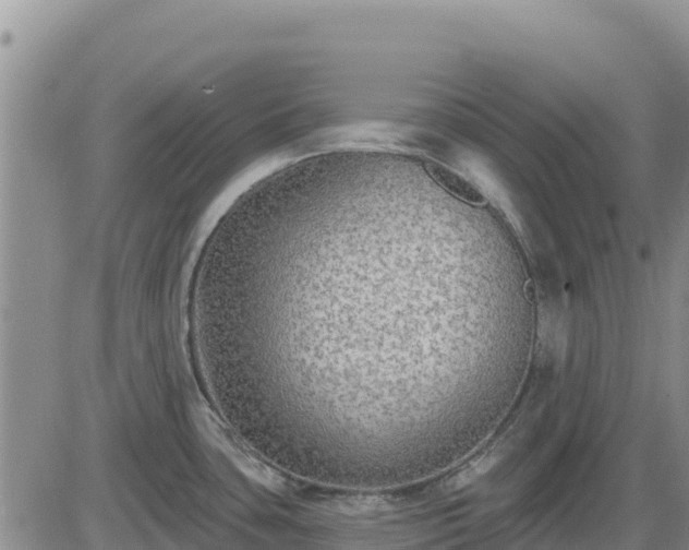 X0000084601435200703021613