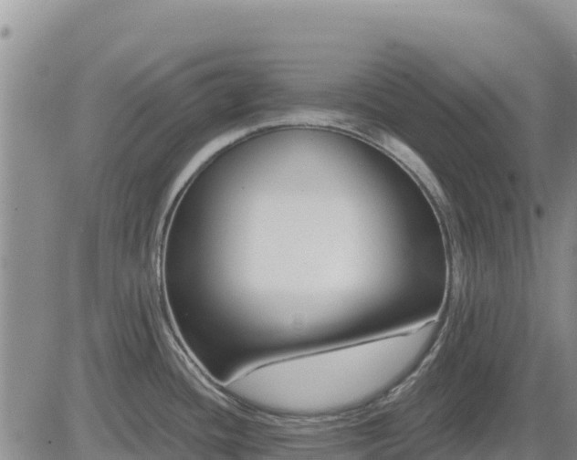 X0000084601436200703021613