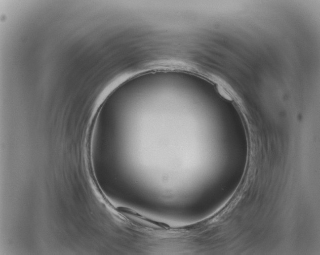 X0000084601440200703021613