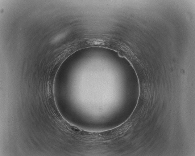 X0000084601442200703021612