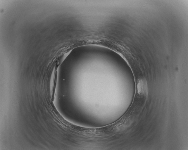 X0000084601444200703021612