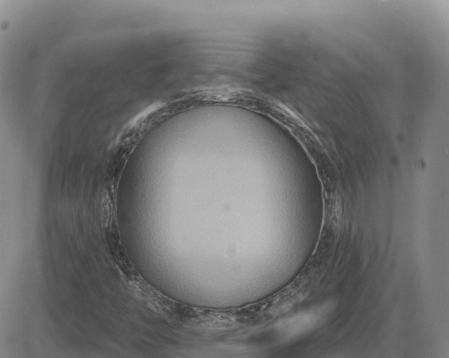 X0000084601446200703021612