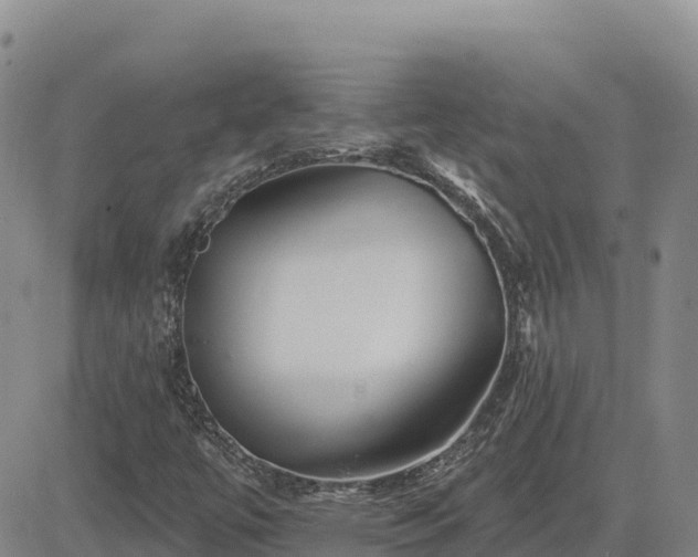 X0000084601447200703021612