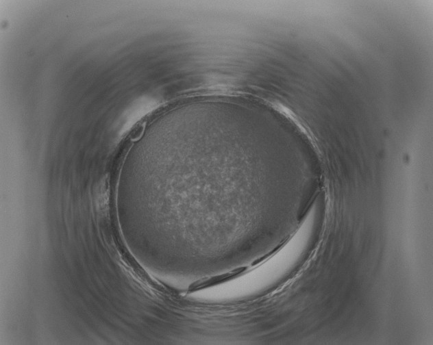 X0000084601450200703021612