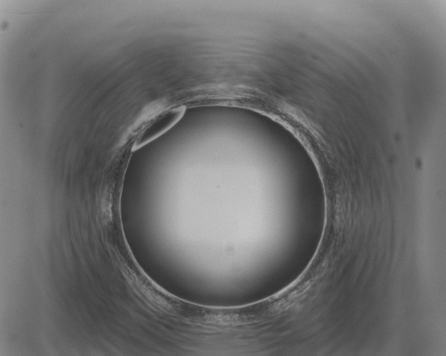 X0000084601451200703021612