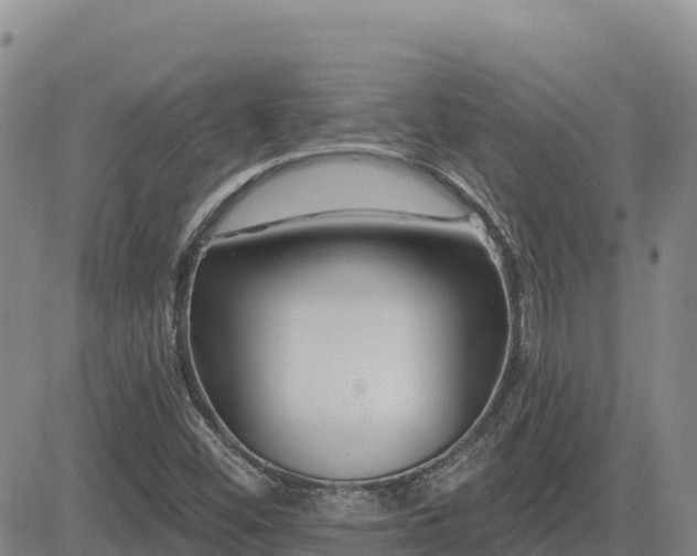 X0000084601452200703021612