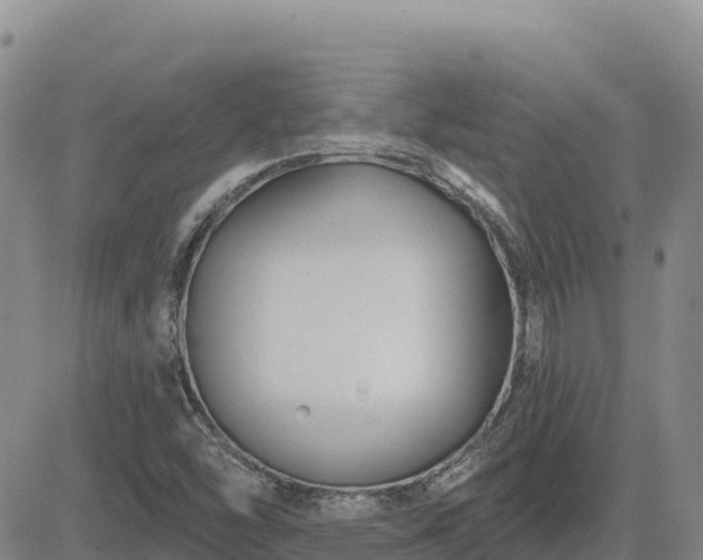 X0000084601454200703021612