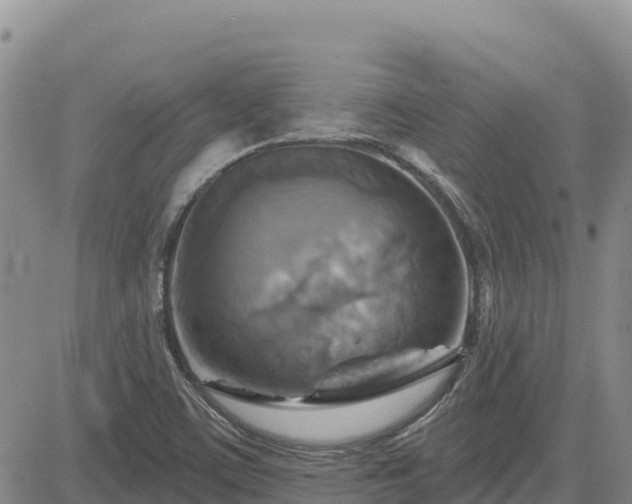 X0000084601459200703021612