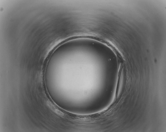 X0000084601460200703021612