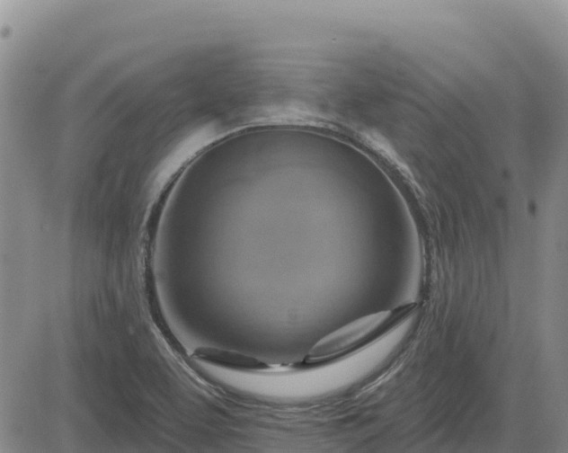 X0000084601463200703021612