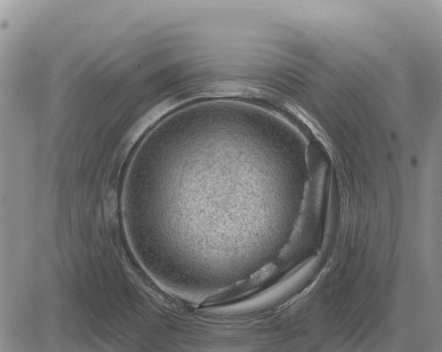 X0000084601465200703021612